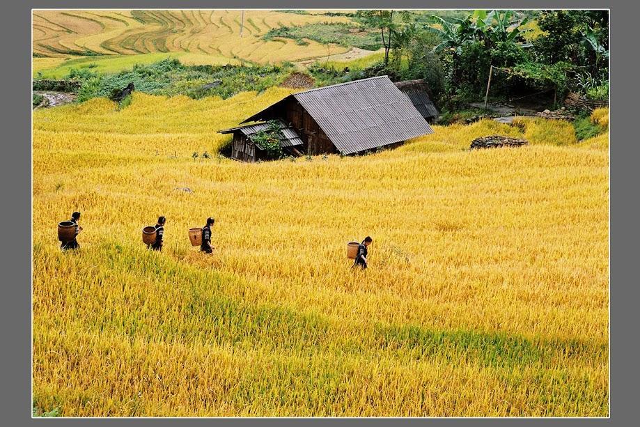 Hometravel Sapa Bagian luar foto