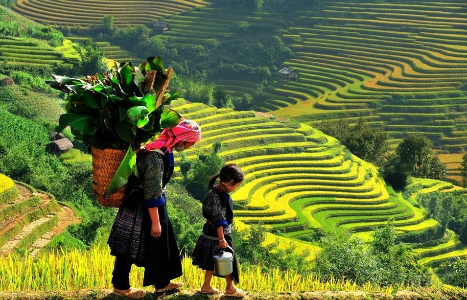 Hometravel Sapa Bagian luar foto