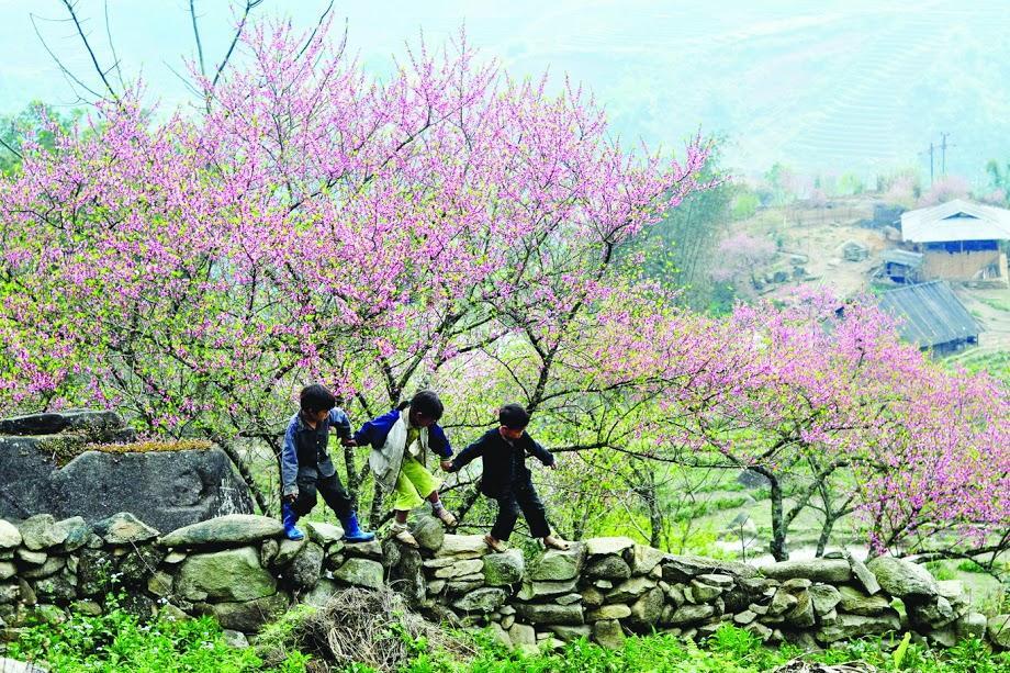 Hometravel Sapa Bagian luar foto